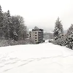 Czarodziejska Gora Kozubnik Daglezja *