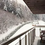 Czarodziejska Gora Kozubnik Daglezja * Porąbka