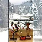 Czarodziejska Gora Kozubnik Daglezja Porąbka