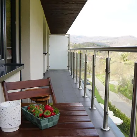 Czarodziejska Gora Kozubnik Daglezja Porąbka