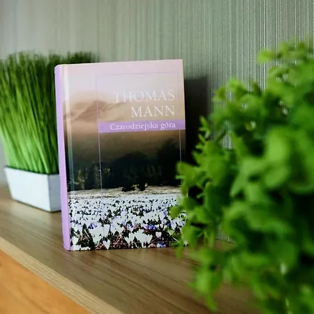 Czarodziejska Gora Kozubnik Daglezja *