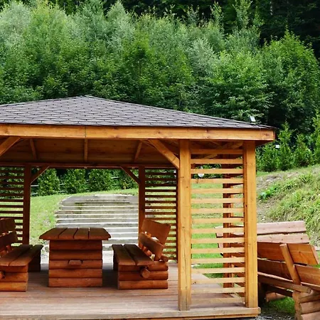 Czarodziejska Gora Kozubnik Daglezja *