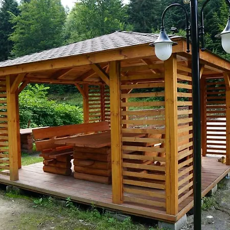 Czarodziejska Gora Kozubnik Daglezja * Porabka