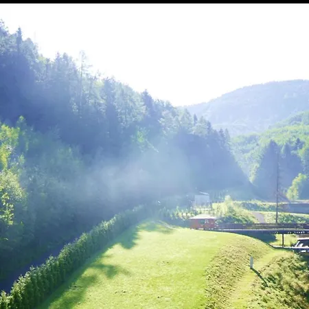 Czarodziejska Góra Kozubnik Daglezja Porąbka