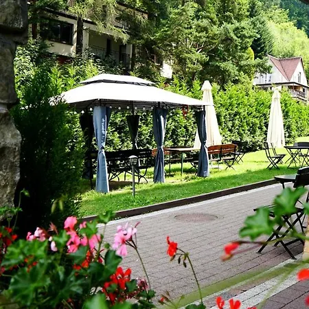 Czarodziejska Gora Kozubnik Daglezja *