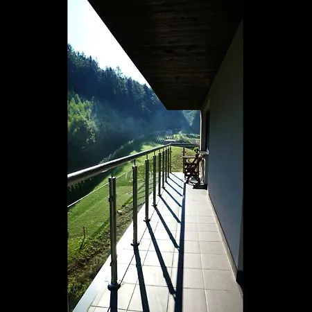 Czarodziejska Gora Kozubnik Daglezja *