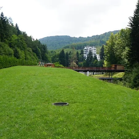 Czarodziejska Gora Kozubnik Daglezja