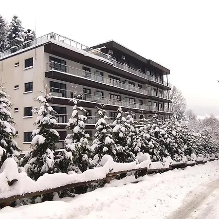 Czarodziejska Gora Kozubnik Daglezja