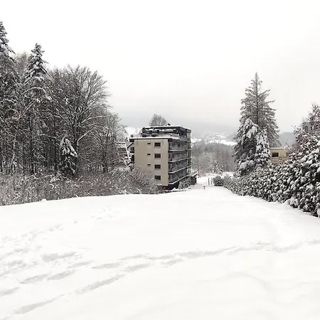 Czarodziejska Gora Kozubnik Daglezja *