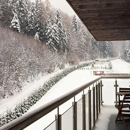 Czarodziejska Gora Kozubnik Daglezja * Porąbka