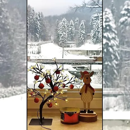 Czarodziejska Góra Kozubnik Daglezja Porąbka