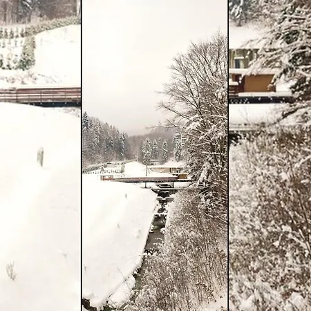 Czarodziejska Gora Kozubnik Daglezja * Porabka