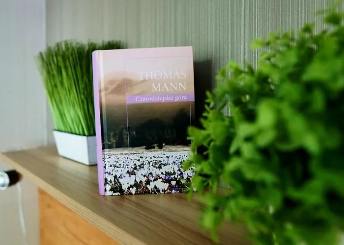 Czarodziejska Gora Kozubnik Daglezja *