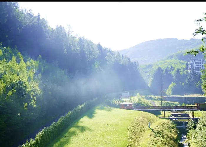 Czarodziejska Gora Kozubnik Daglezja Porąbka