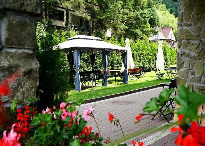 Czarodziejska Gora Kozubnik Daglezja *