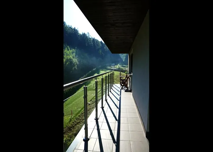 Czarodziejska Gora Kozubnik Daglezja *