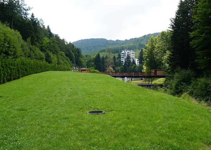 Czarodziejska Gora Kozubnik Daglezja