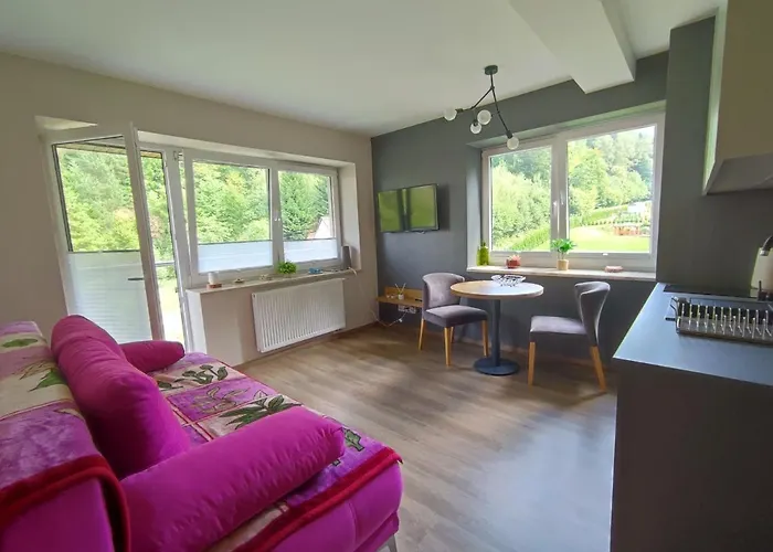 Czarodziejska Gora Kozubnik Daglezja *