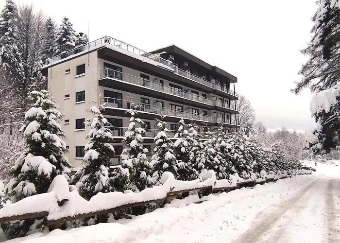 Czarodziejska Gora Kozubnik Daglezja