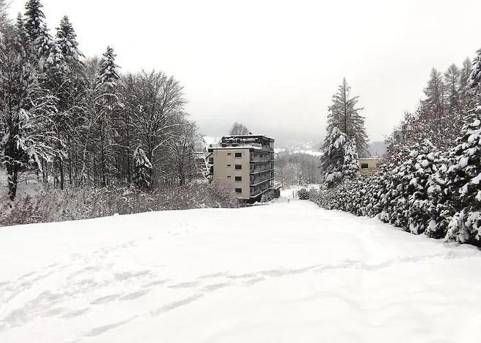 Czarodziejska Gora Kozubnik Daglezja *