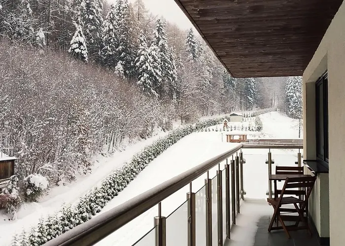 Czarodziejska Gora Kozubnik Daglezja * Porąbka