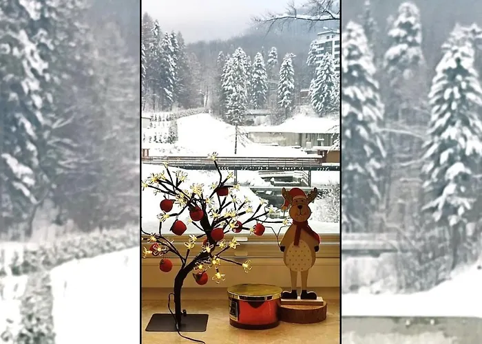 Czarodziejska Gora Kozubnik Daglezja Porąbka