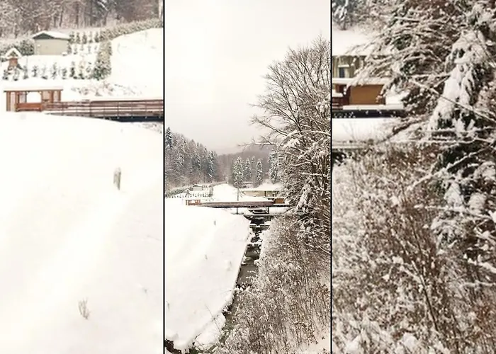 Czarodziejska Gora Kozubnik Daglezja * Porąbka